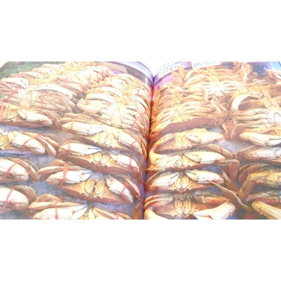 Large Hardback Book on Seattle; Illustrations with Jacket - Picture 6 of 12